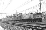 sugi-EF58161