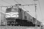 sugi-EF58166