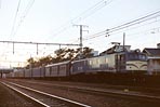 sugi-EF58168