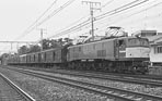 sugi-EF58171