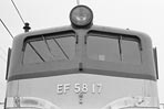 sugi-EF5817