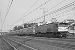 sugi-EF5817