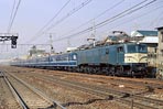 sugi-ef5818