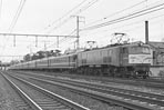 sugi-ef5818