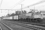 sugi-ef5818