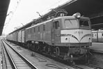 sugi-ef5818