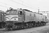 sugi-ef581