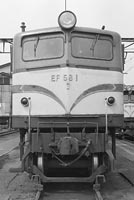 sugi-ef581
