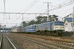 sugi-EF5827