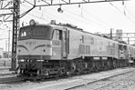 sugi-EF5827