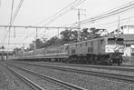 sugi-EF5829