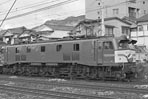 sugi-EF5829