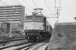 sugi-EF5830