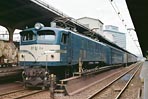 sugi-ef5844