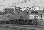sugi-EF5839