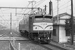 sugi-EF5839