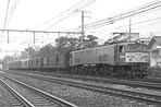 sugi-ef5841