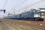sugi-ef5842