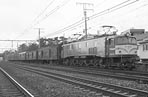 sugi-ef5844