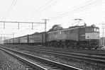 sugi-ef5845