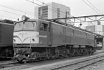 sugi-ef5845