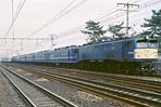 sugi-ef5847