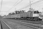 sugi-ef5847