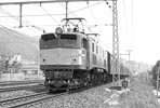 sugi-ef5847