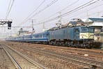 sugi-ef5848