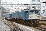 sugi-ef5848