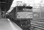 sugi-ef5849
