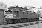 sugi-ef5849