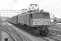 sugi-EF585