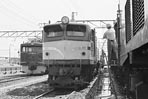 sugi-EF5852