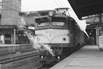 sugi-EF5852