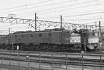 sugi-EF5852
