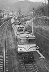 sugi-EF5852