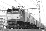 sugi-EF5852