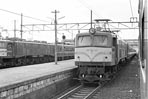 sugi-EF5853