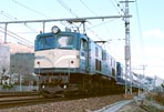 sugi-EF5853