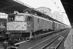 sugi-EF5853