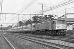 sugi-ef5854