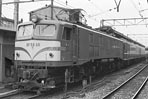 sugi-ef5856