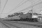 sugi-ef5856