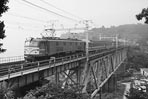 sugi-ef5856