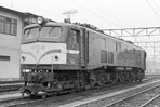 sugi-ef5857