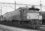 sugi-ef5858