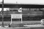 sugi-EF5860
