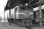 sugi-EF5860