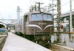 sugi-EF5860